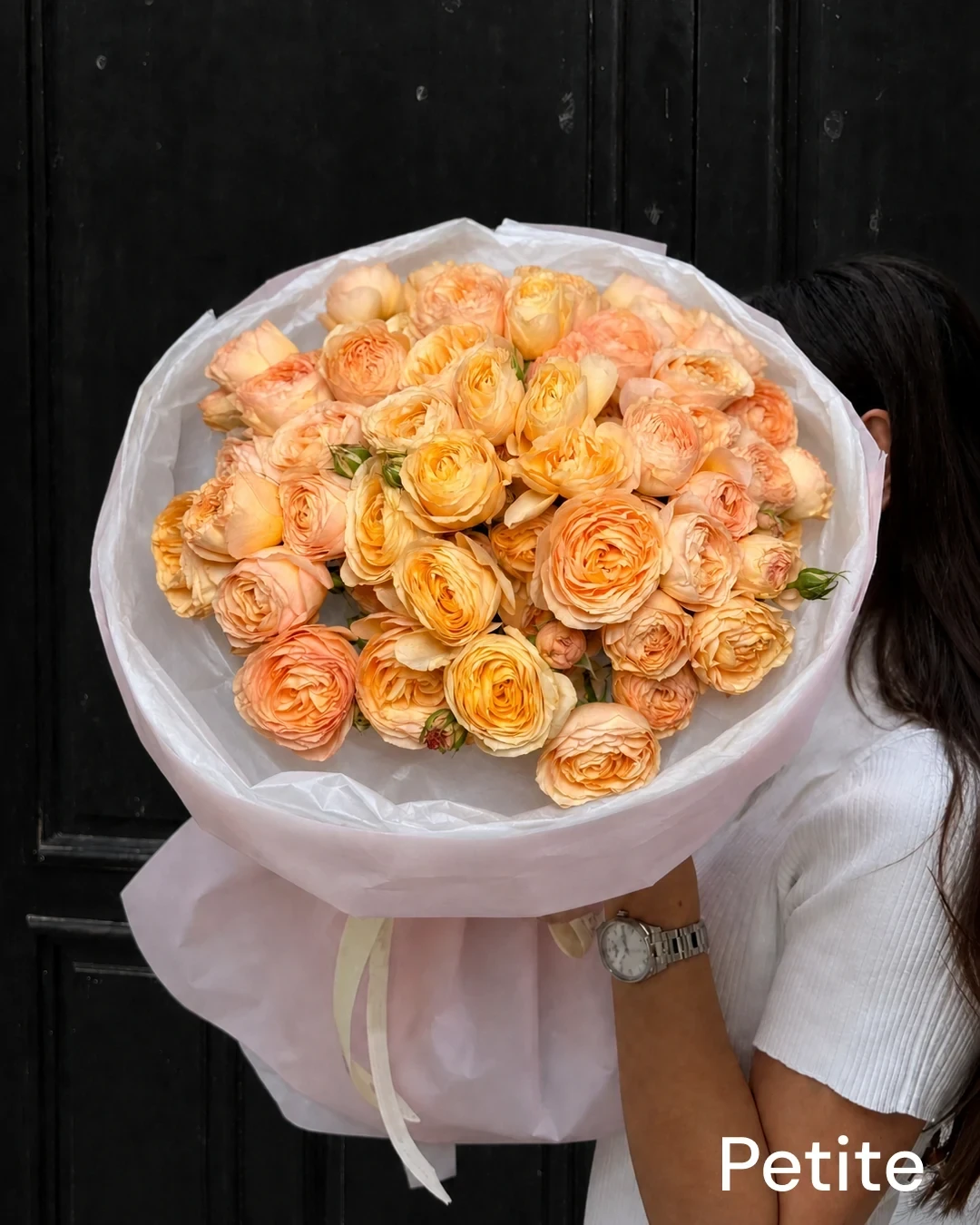 Apricot Charm Serenade