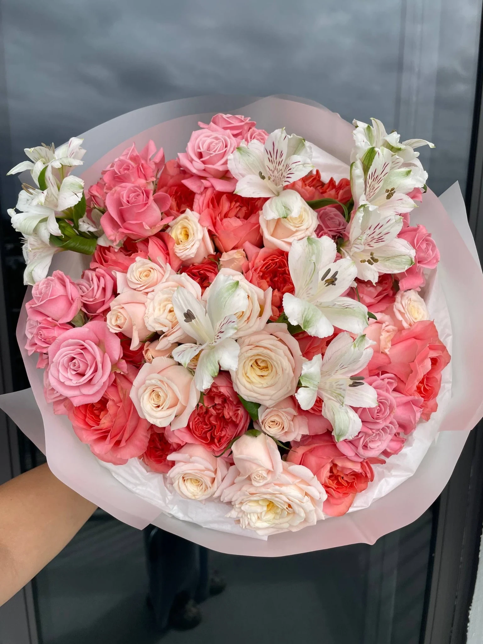 Coral Reverie