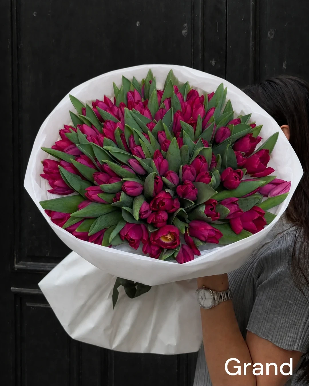 Fuchsia Lullaby