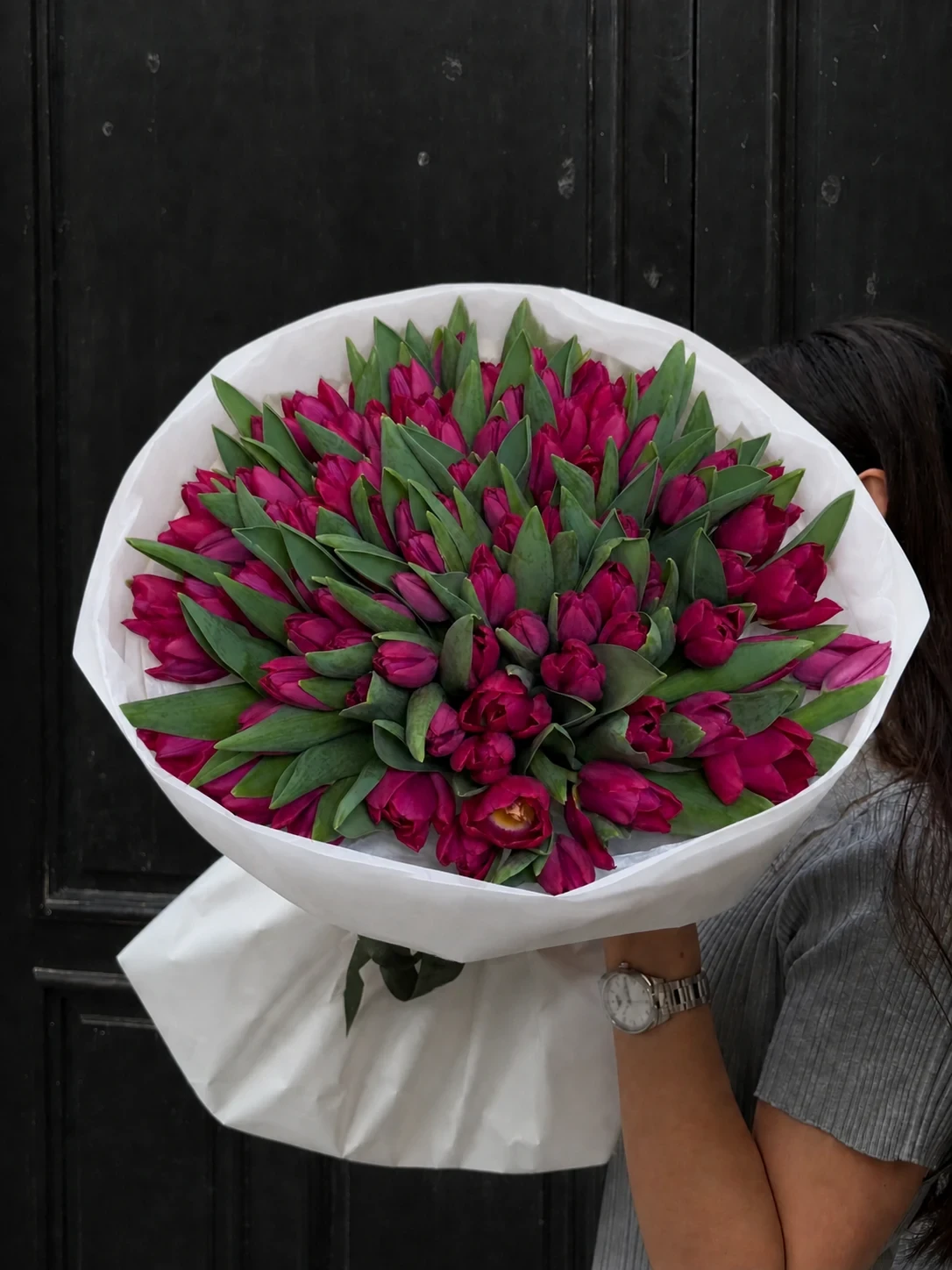 Fuchsia Lullaby
