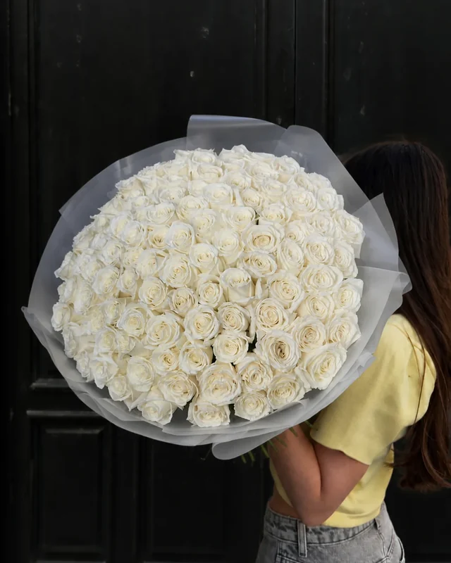 Ivory Glow Rhapsody