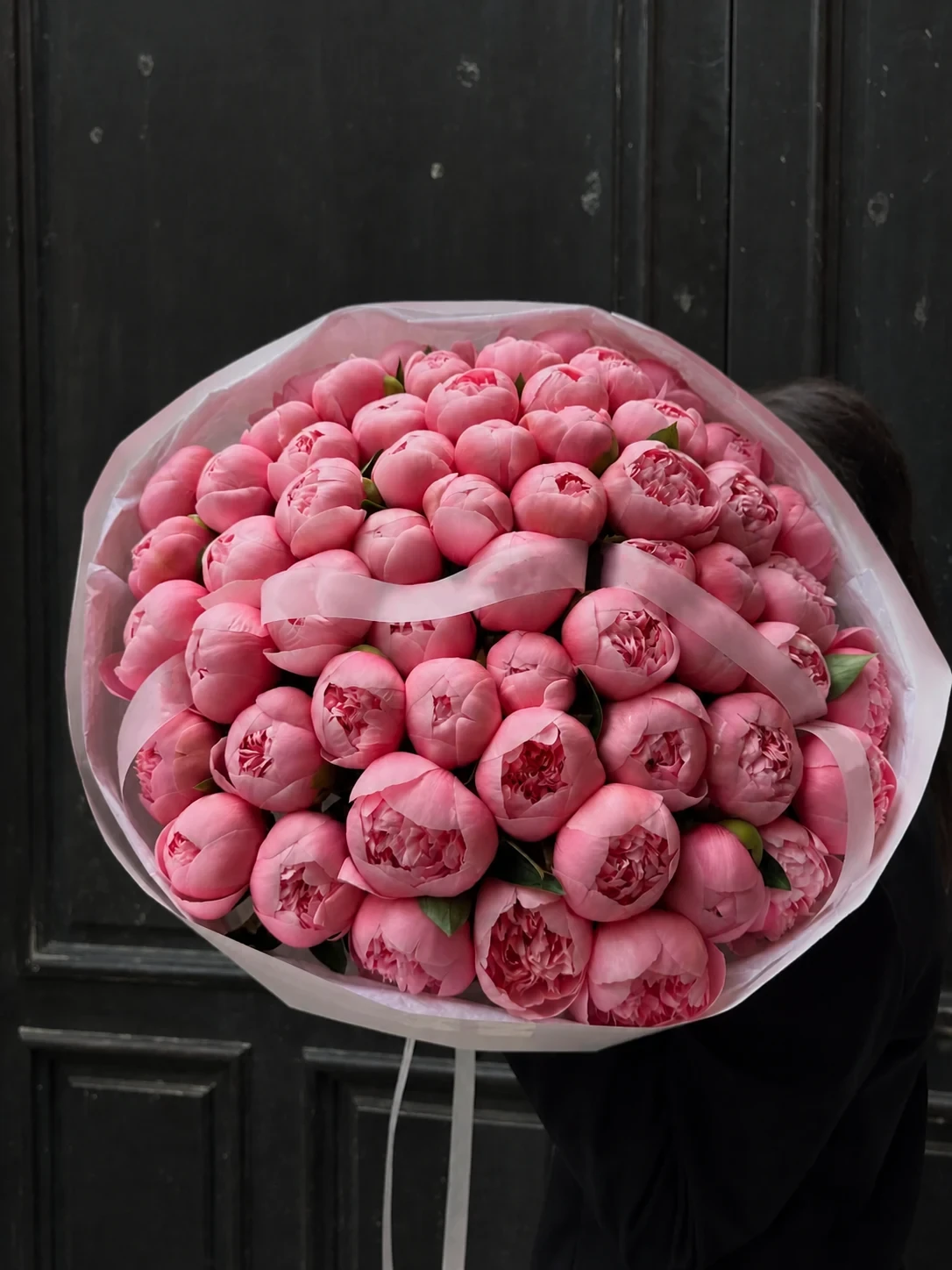Peony Blush
