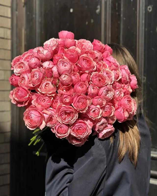 Rosé Rhapsody