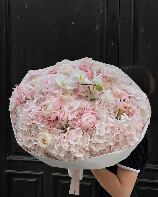 Rosewater Atlas